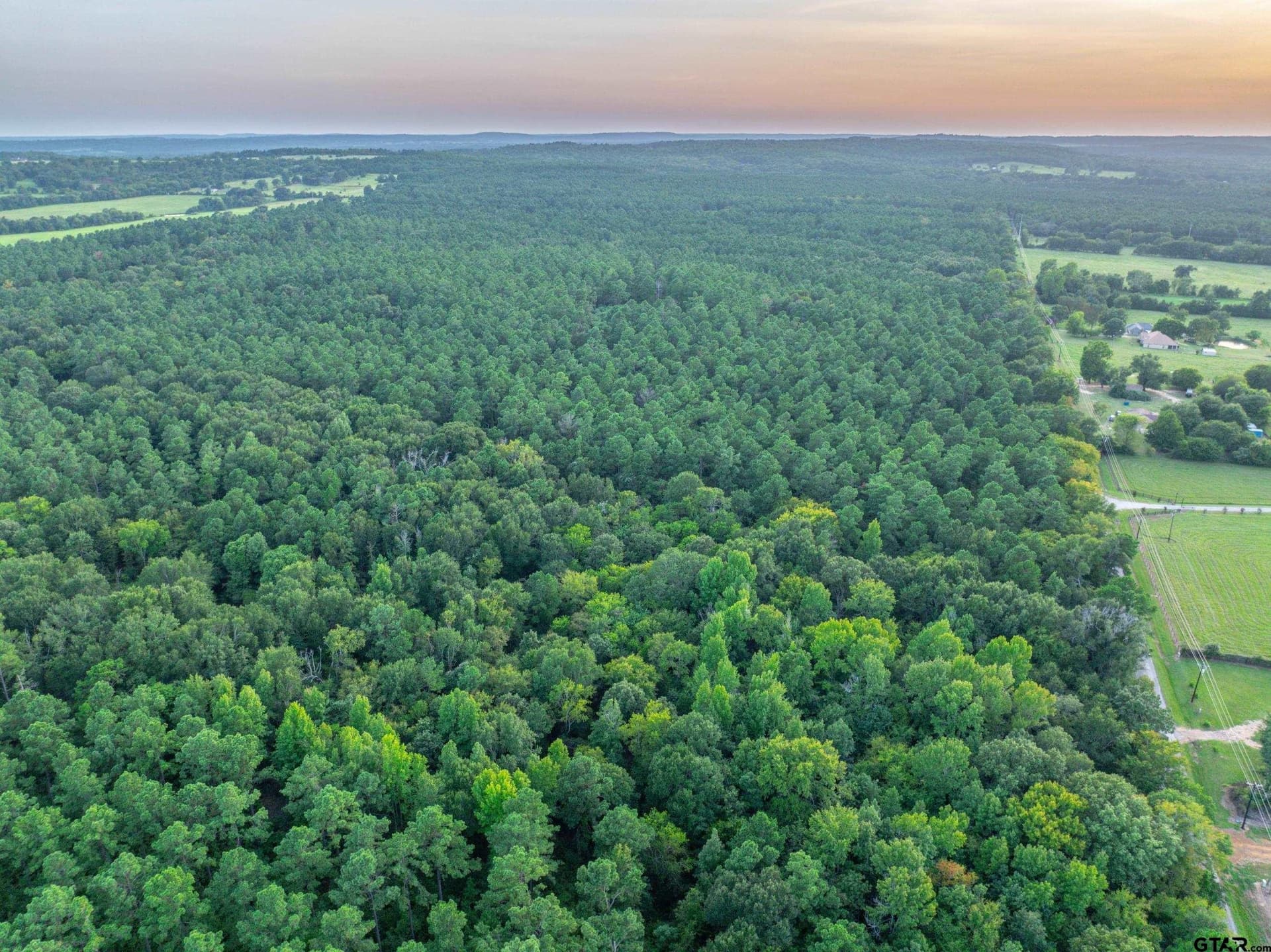 94.5 acres in Henderson County - photo 20