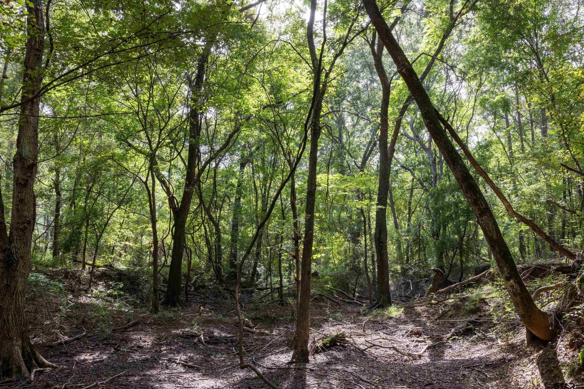 94.5 acres in Henderson County - photo 3