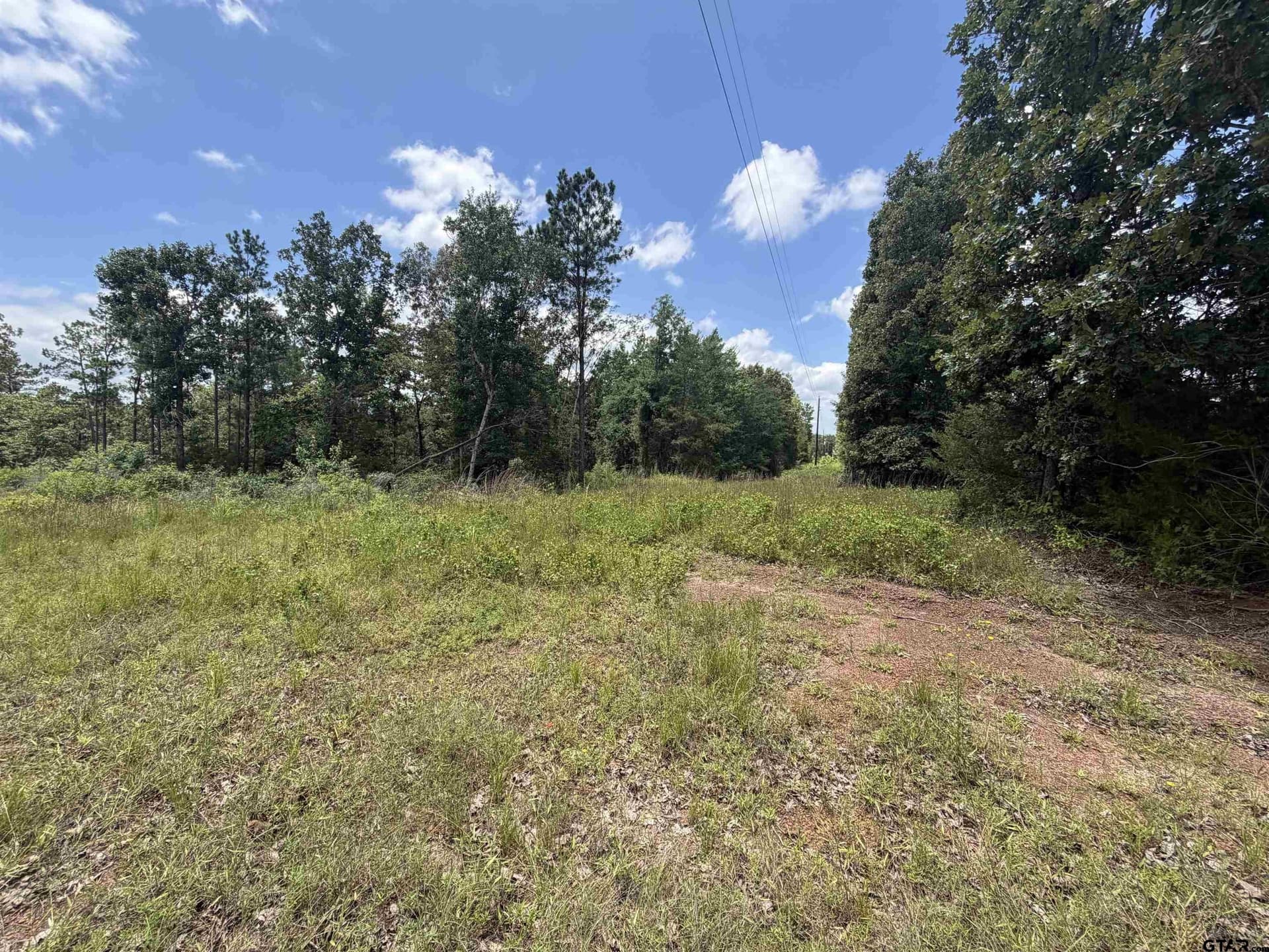 15.04 acres in Cherokee County gallery image 3