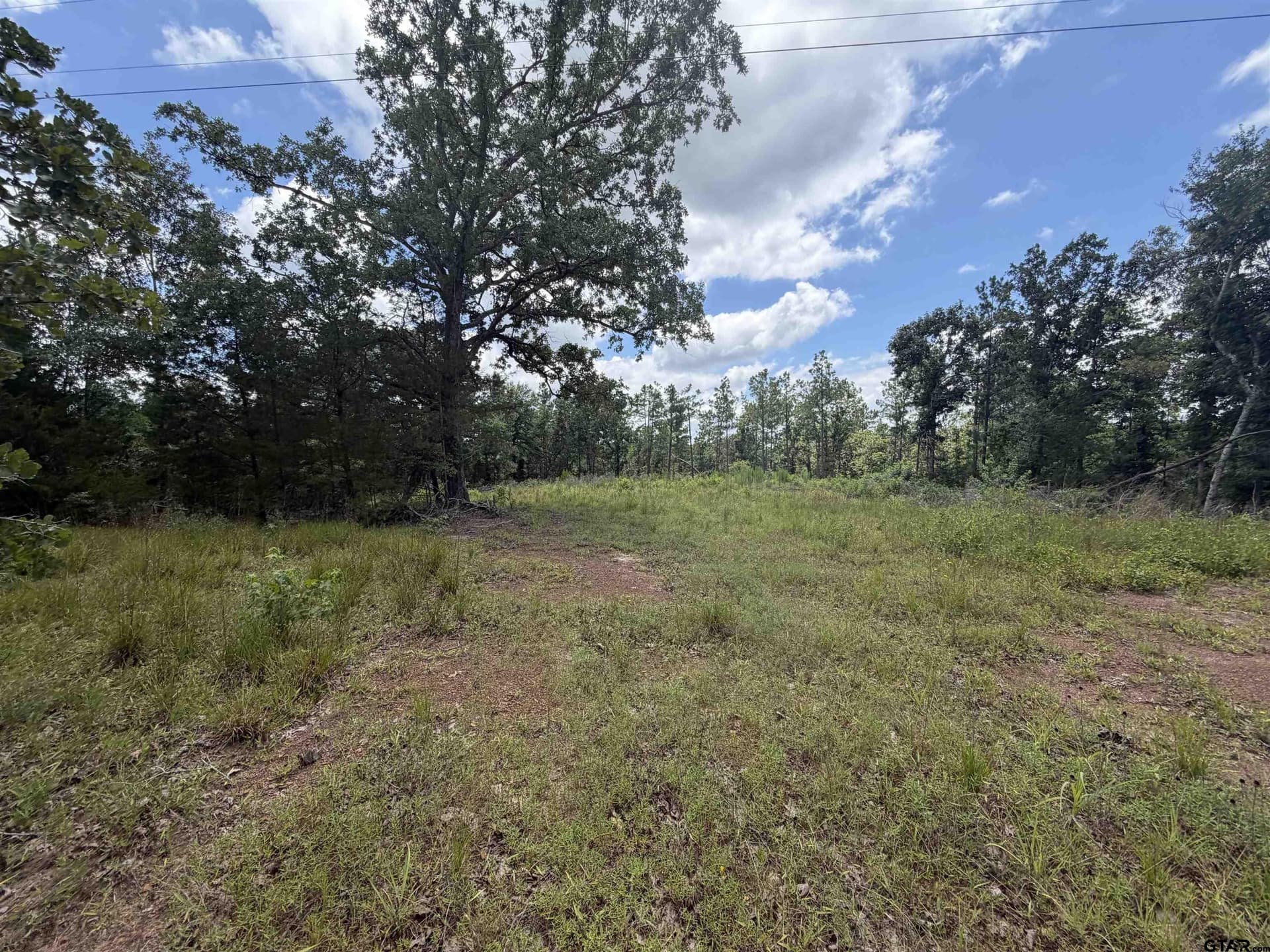 15.04 acres in Cherokee County gallery image 4