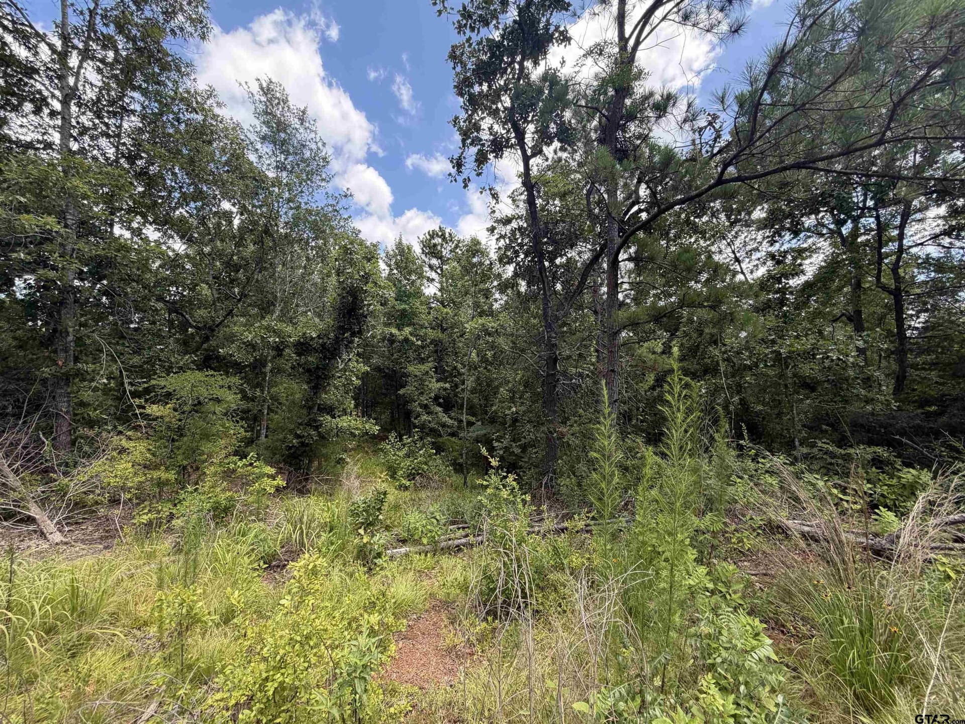 15.04 acres in Cherokee County gallery image 2