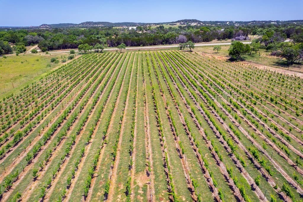 95.53 acres in Gillespie County gallery image 4