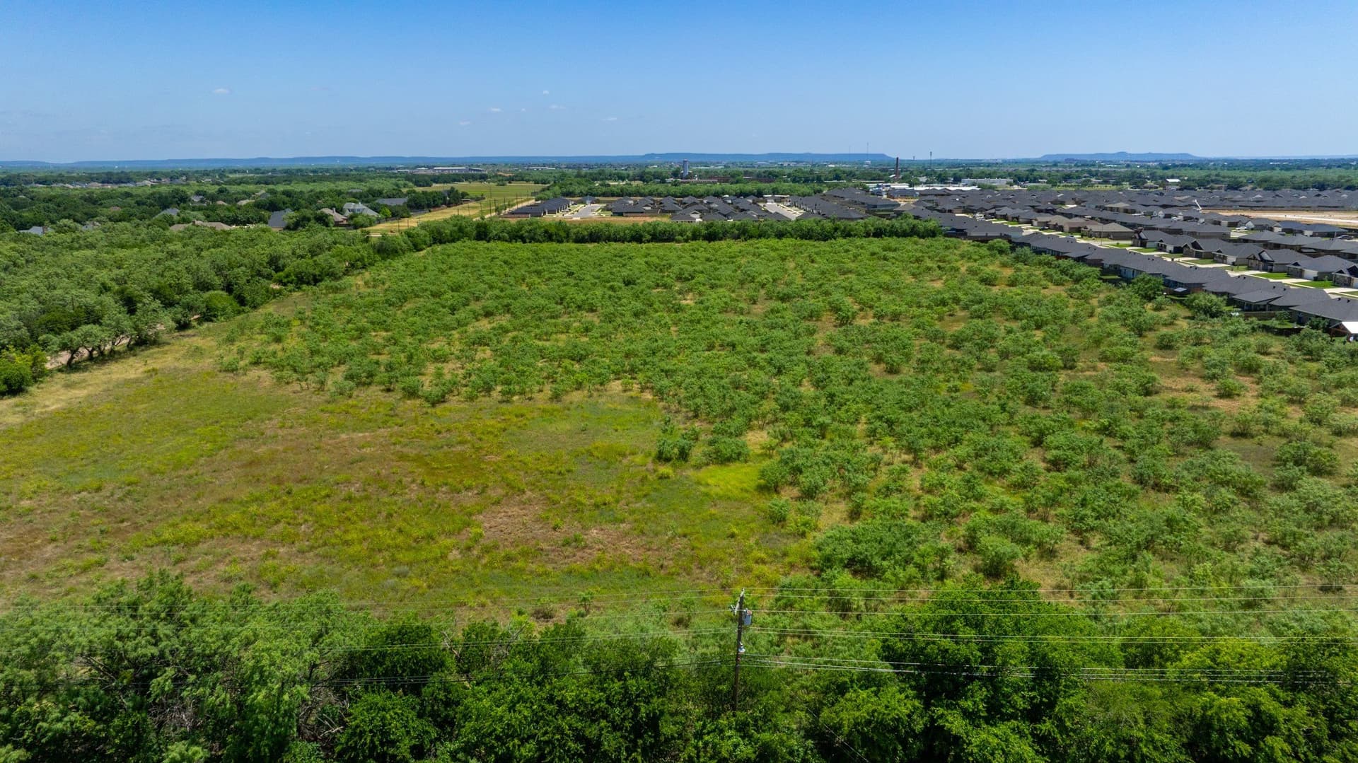 20.55 acres in Taylor County gallery image 3
