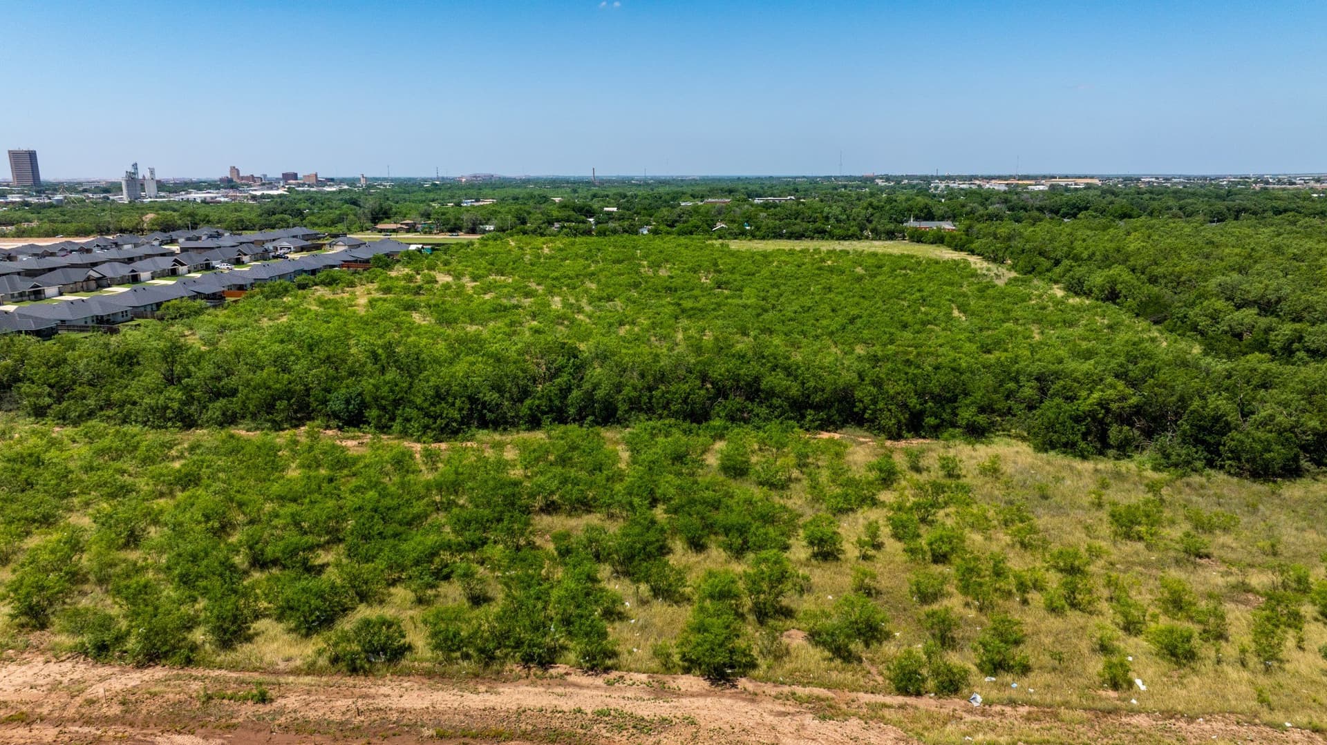 20.55 acres in Taylor County gallery image 4