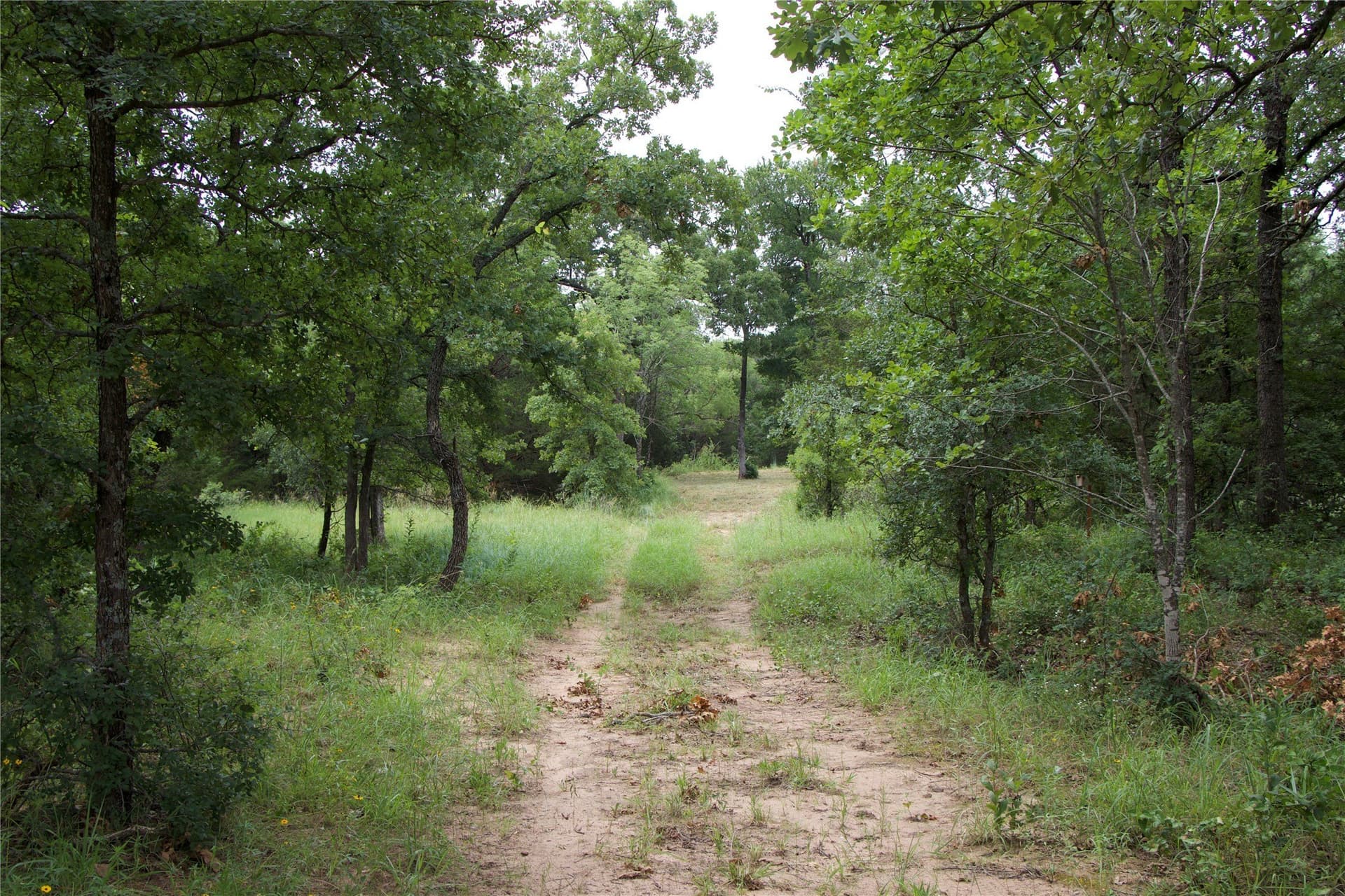 18.07 acres in Wise County - photo 34