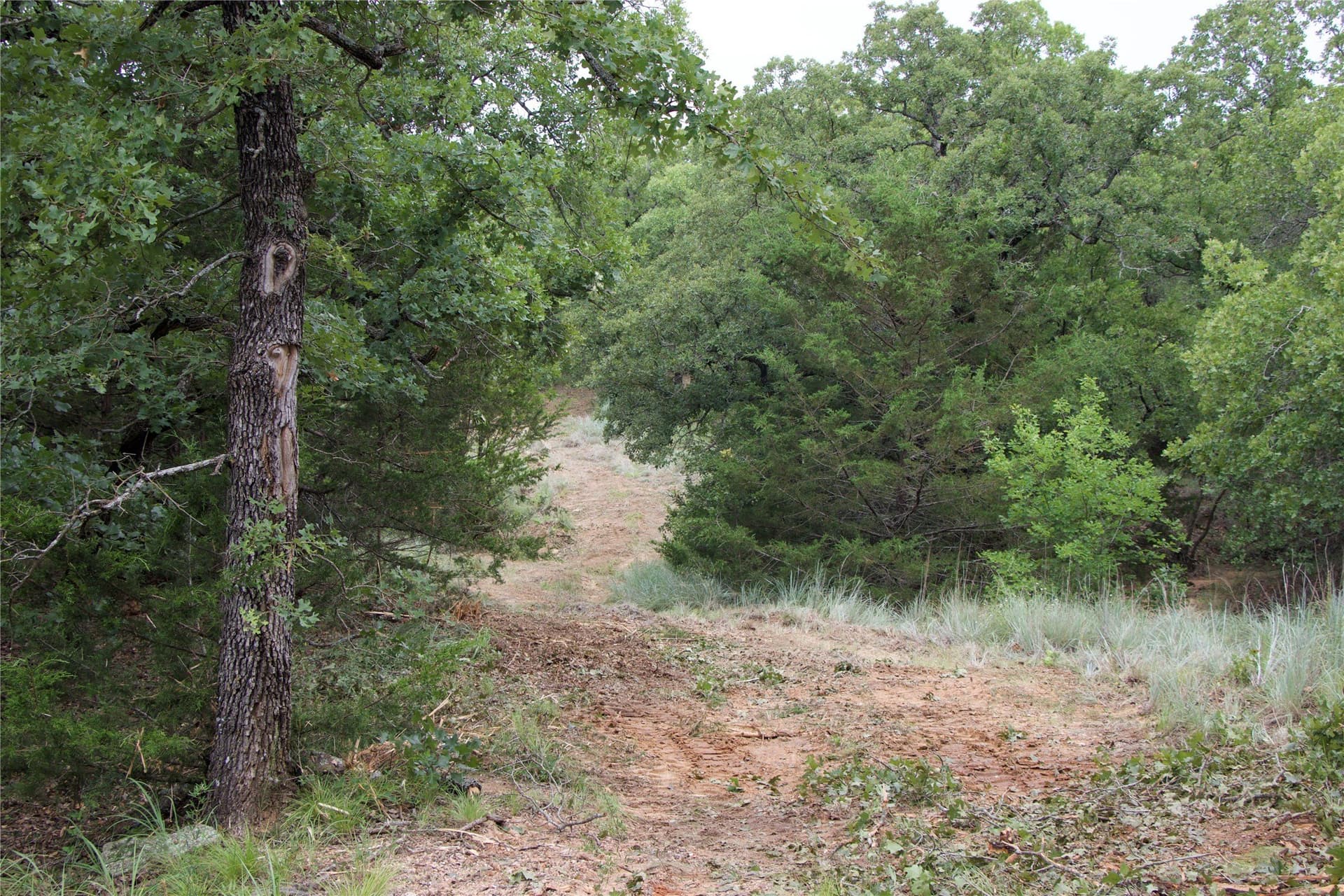 18.07 acres in Wise County - photo 21