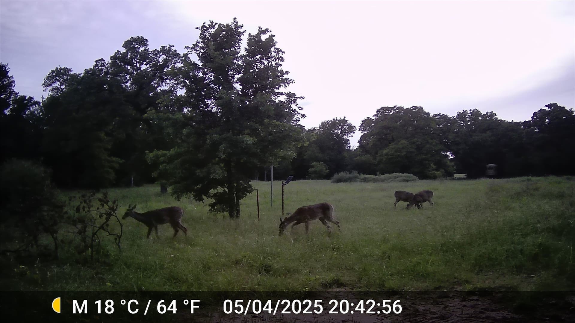 18.07 acres in Wise County - photo 38