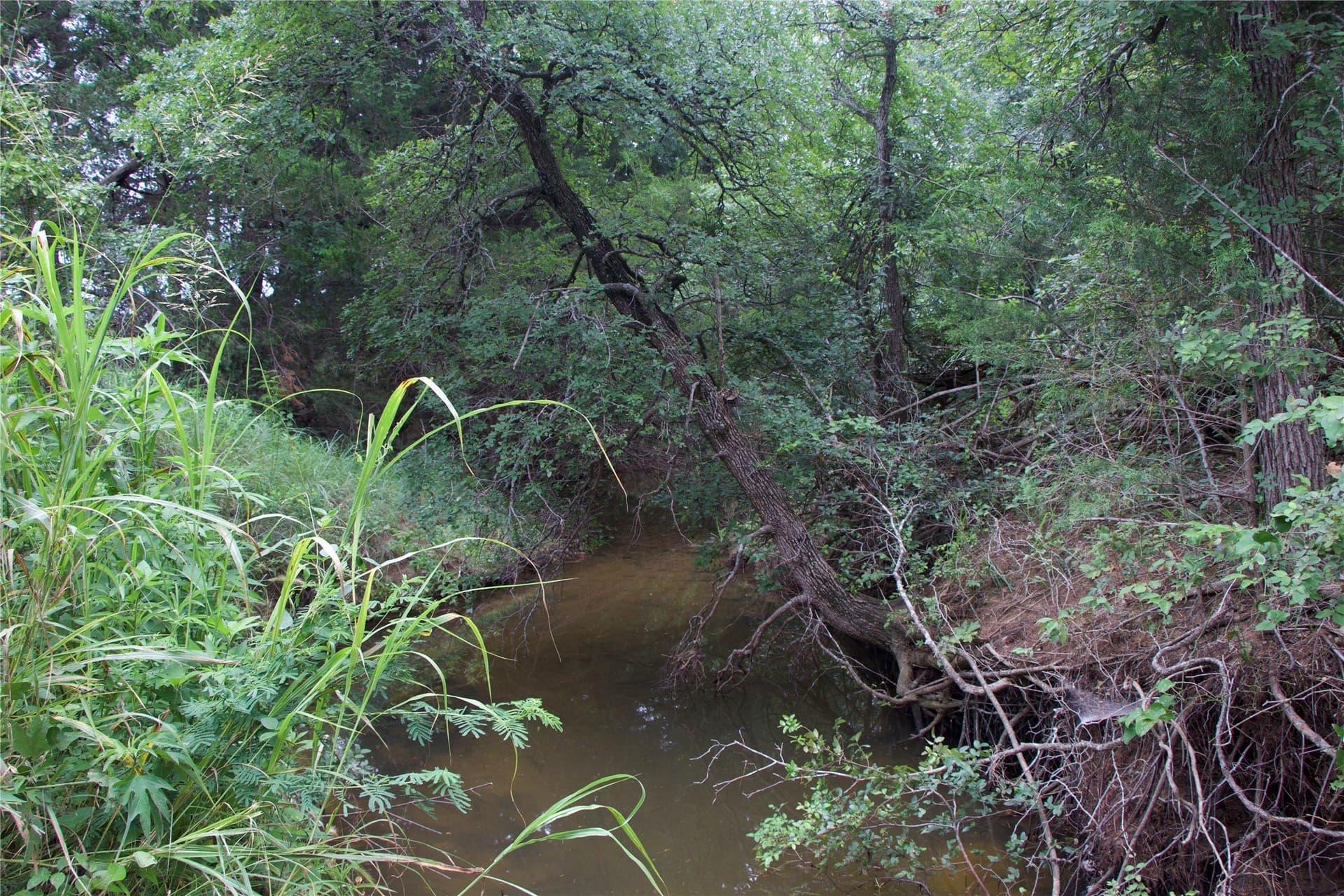 18.07 acres in Wise County - photo 22