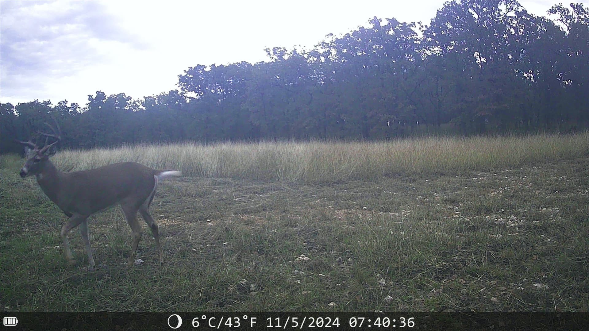 18.07 acres in Wise County - photo 14