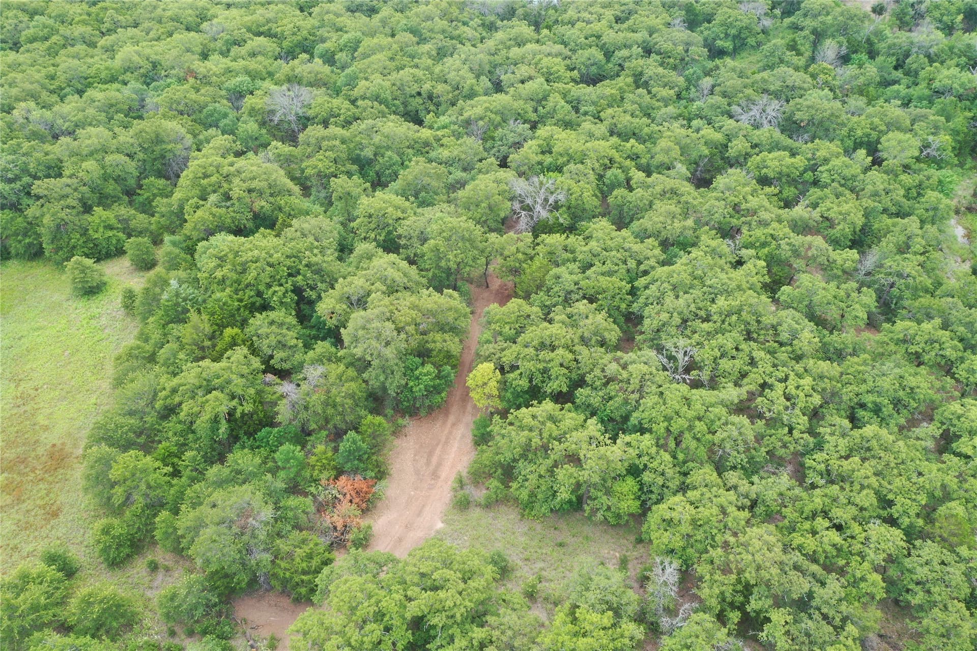 18.07 acres in Wise County - photo 35