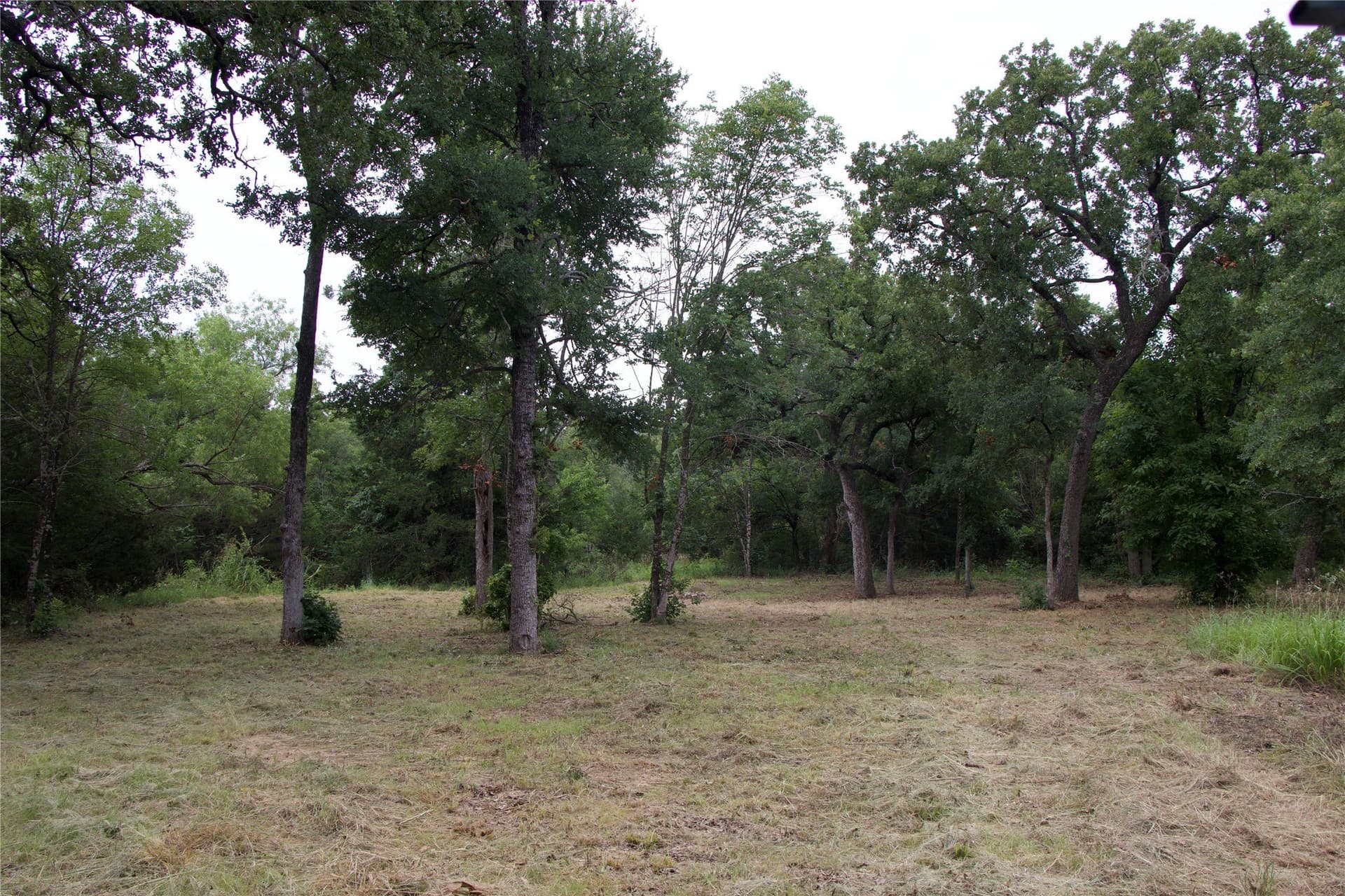 18.07 acres in Wise County - photo 25