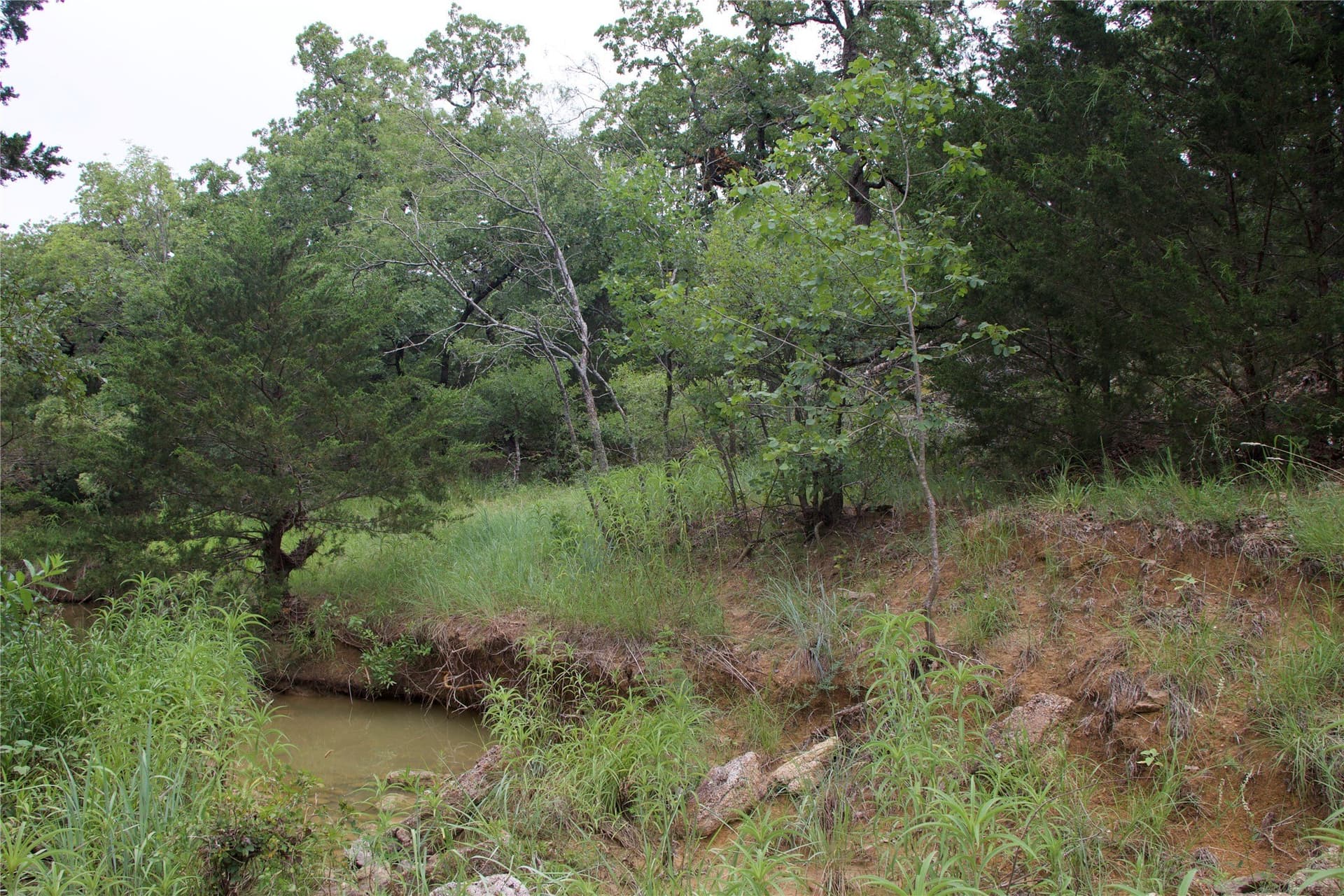 18.07 acres in Wise County - photo 23