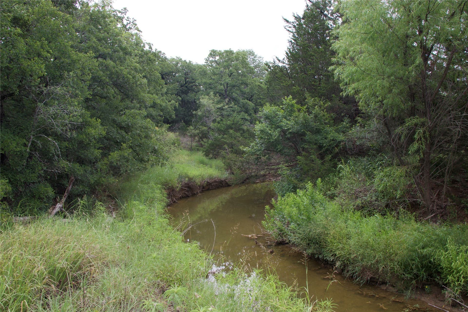 18.07 acres in Wise County gallery image 2