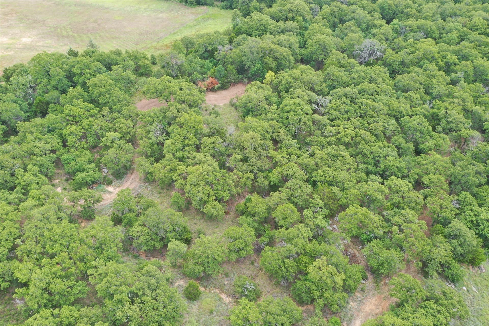 18.07 acres in Wise County - photo 24