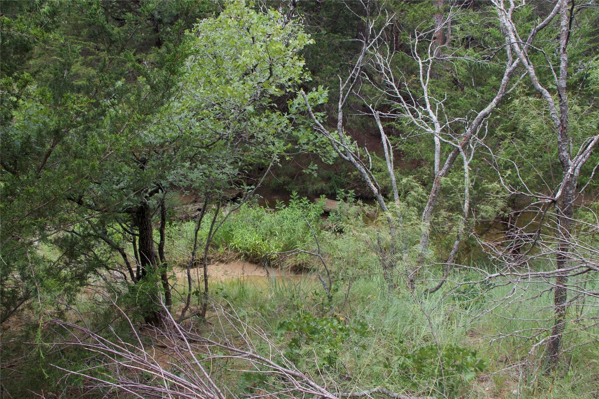 18.07 acres in Wise County - photo 32