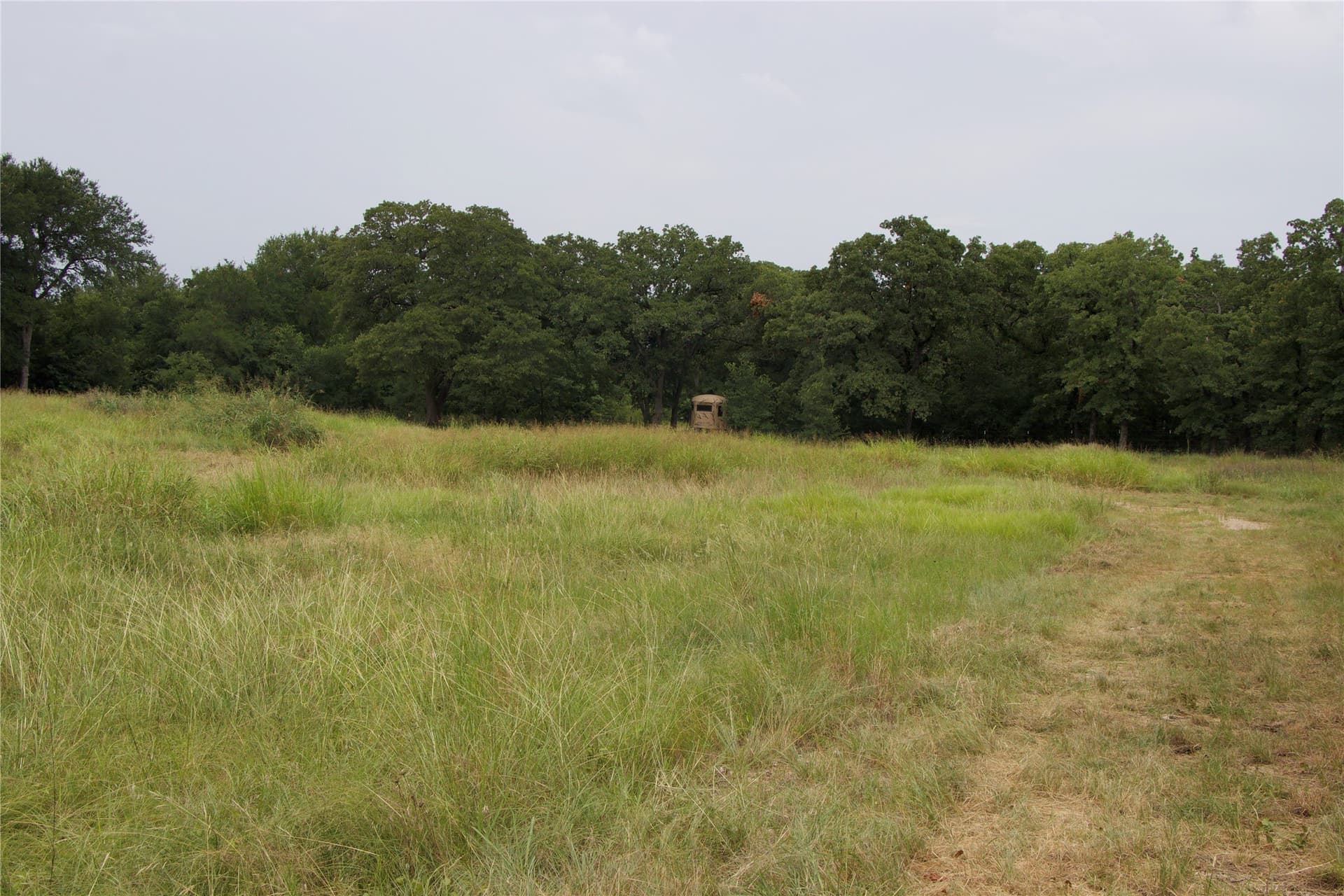 18.07 acres in Wise County - photo 10
