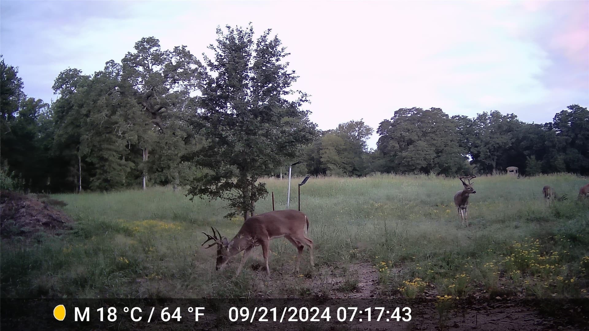 18.07 acres in Wise County - photo 6