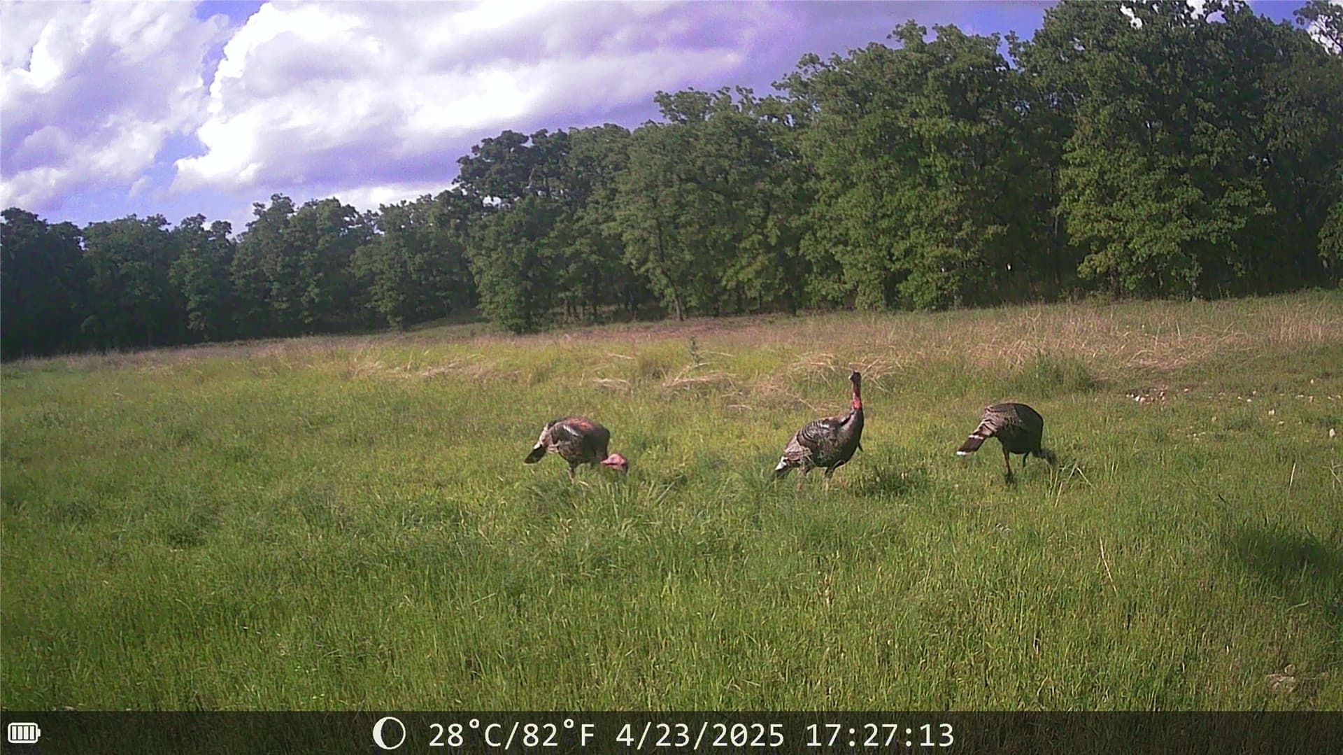 18.07 acres in Wise County - photo 16