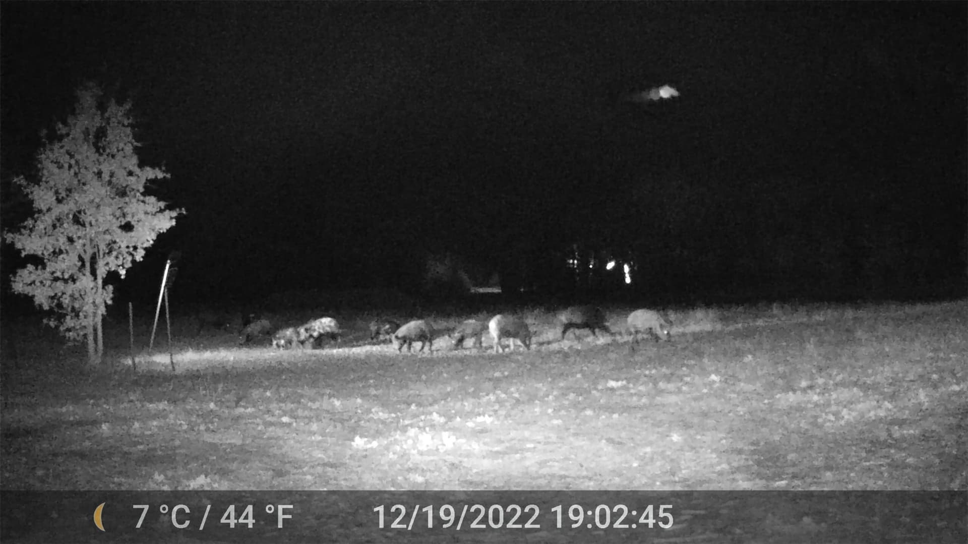 18.07 acres in Wise County - photo 40