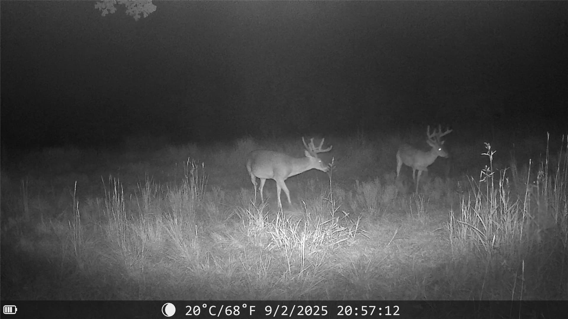 18.07 acres in Wise County featured view