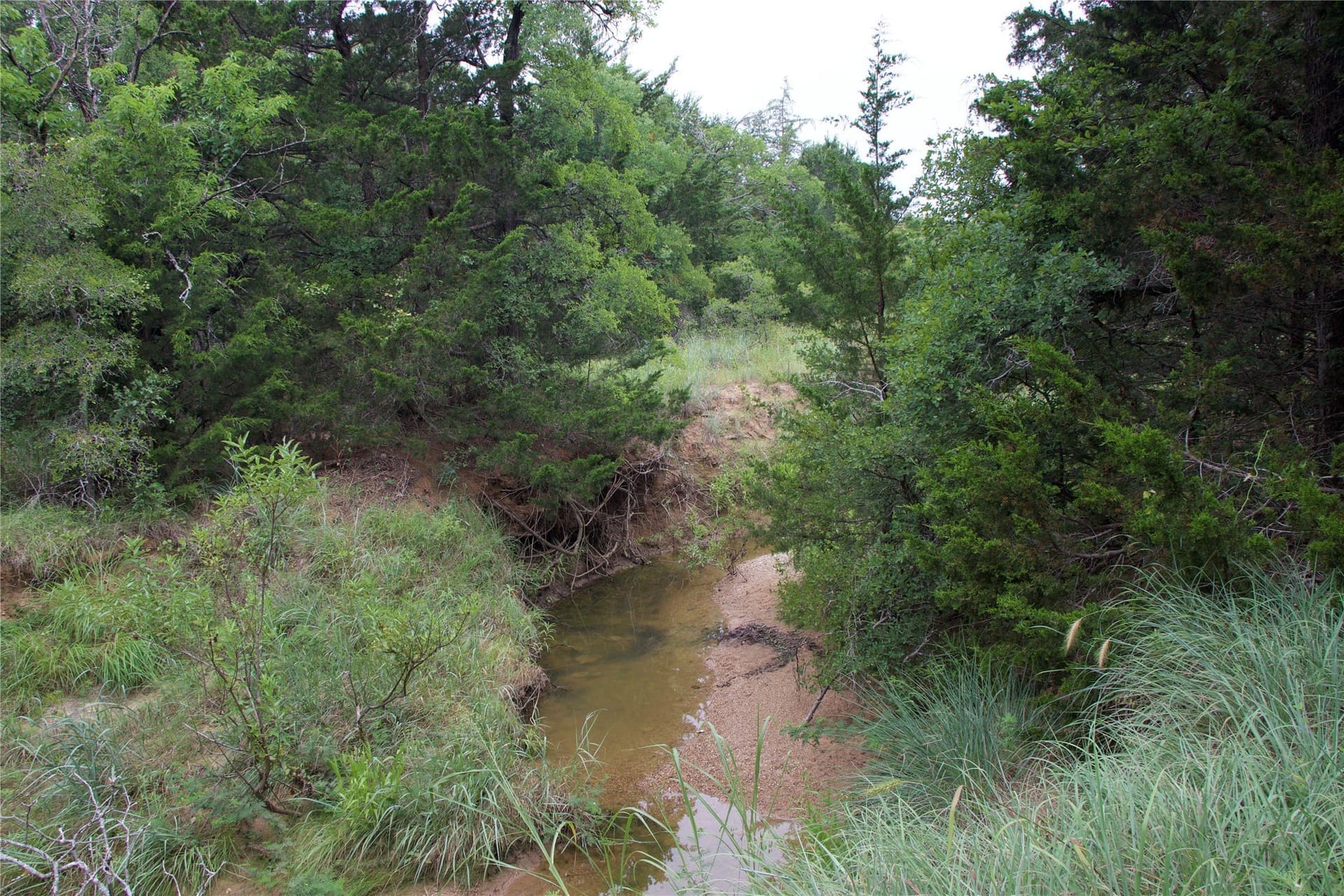 18.07 acres in Wise County - photo 29