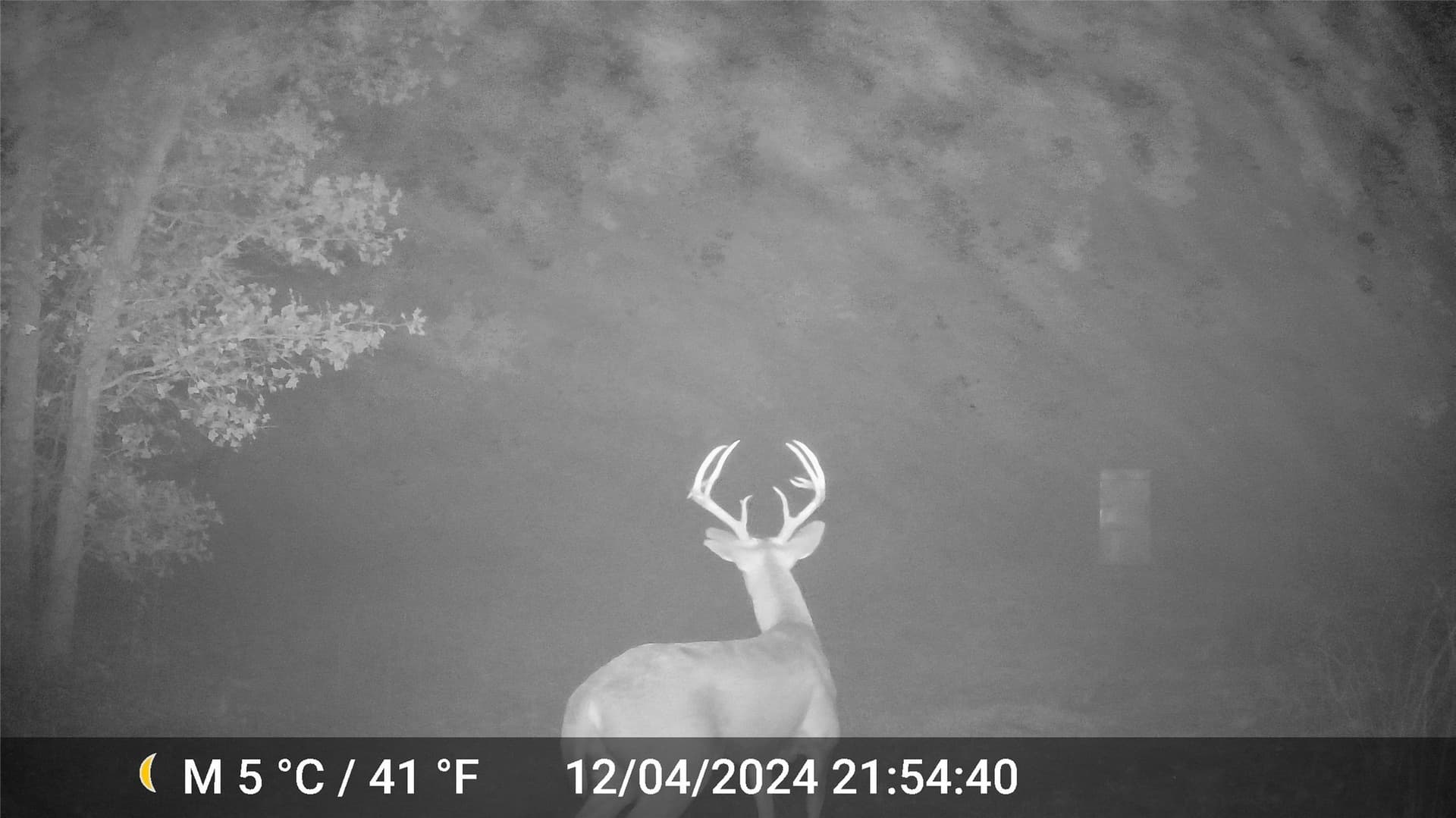 18.07 acres in Wise County - photo 15