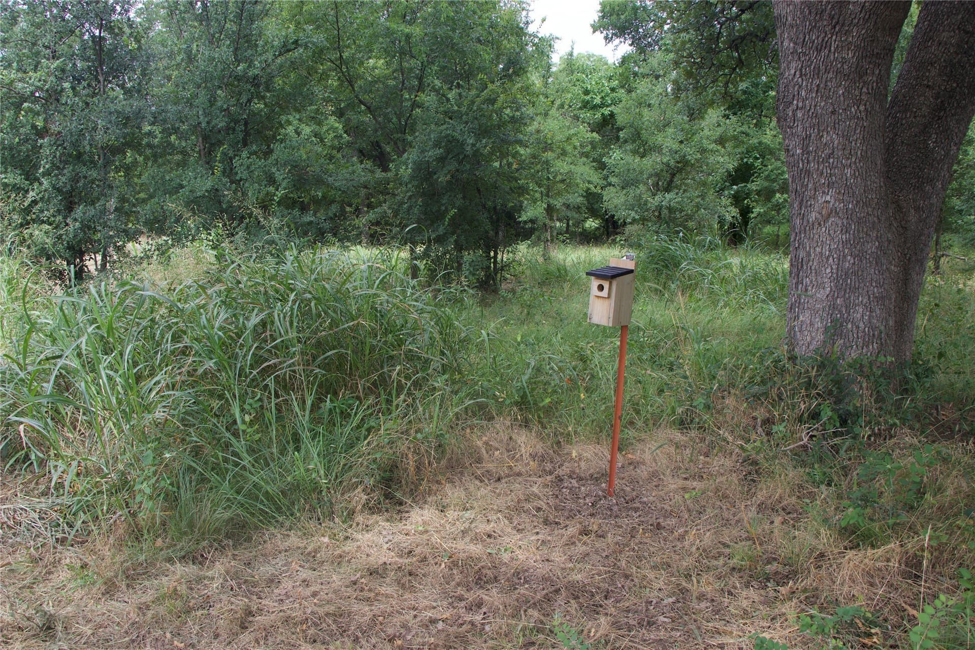 18.07 acres in Wise County - photo 36