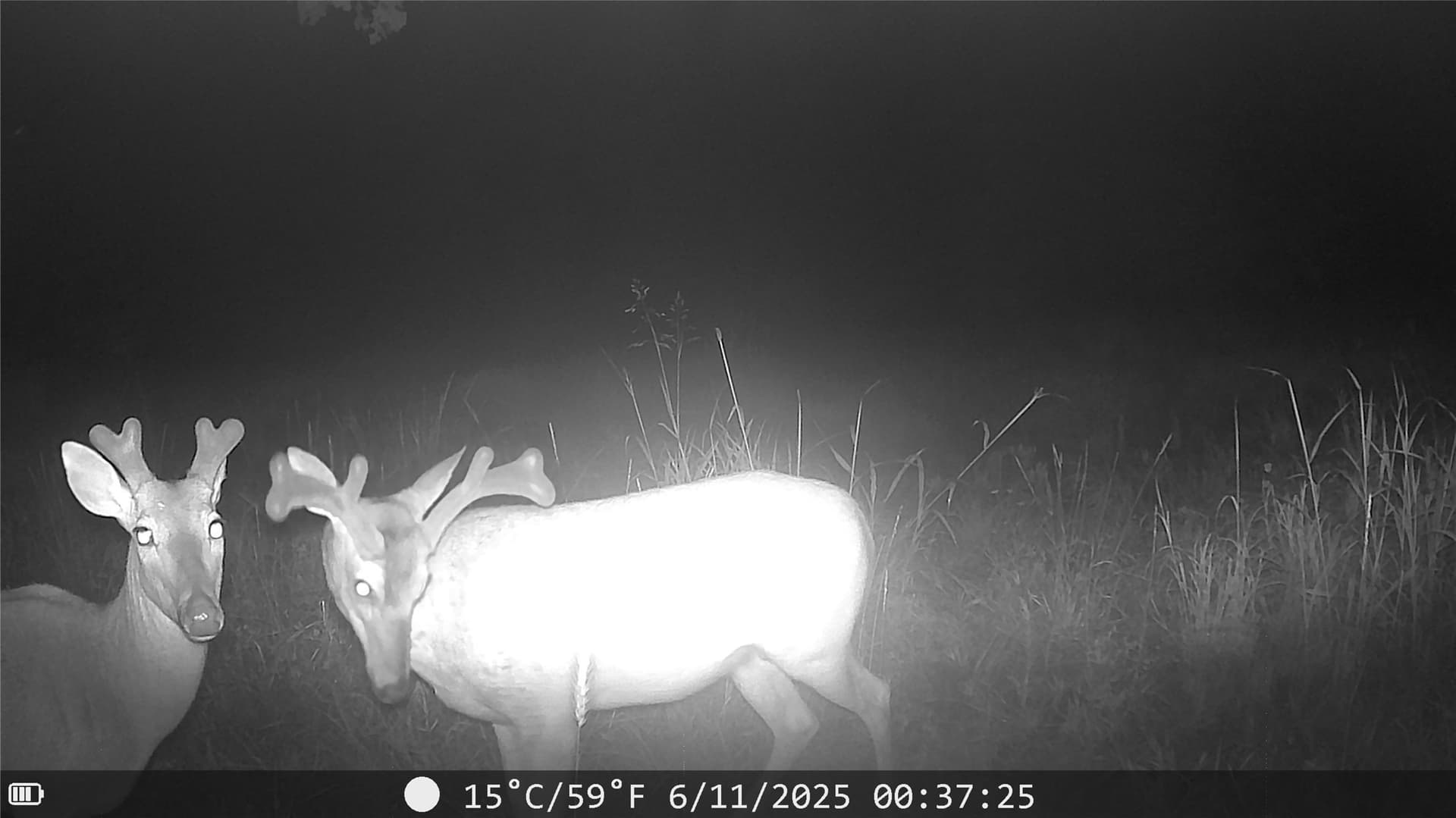 18.07 acres in Wise County - photo 39