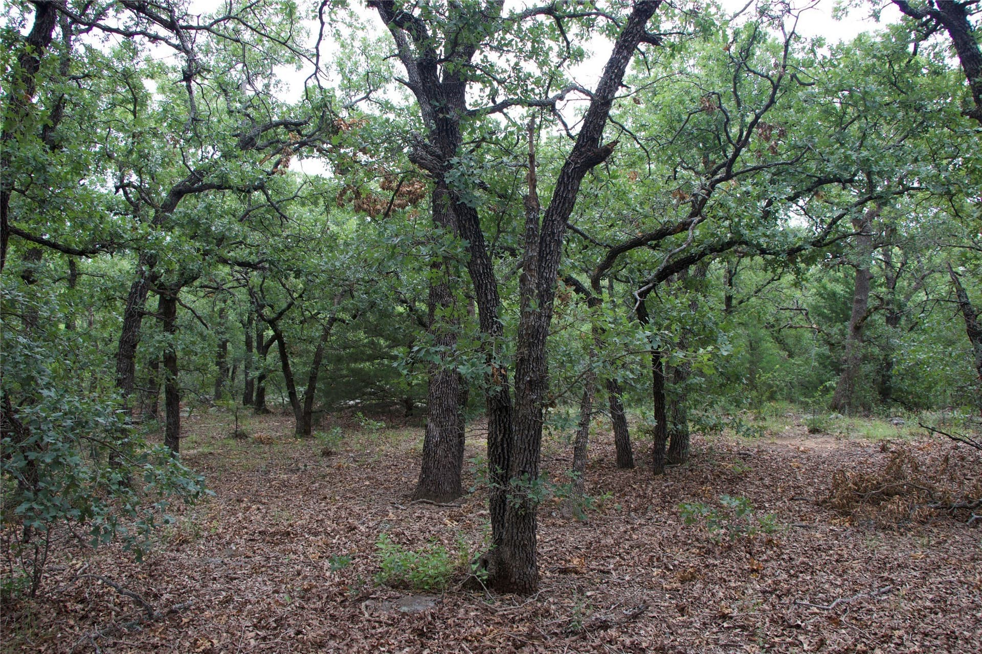 18.07 acres in Wise County - photo 33