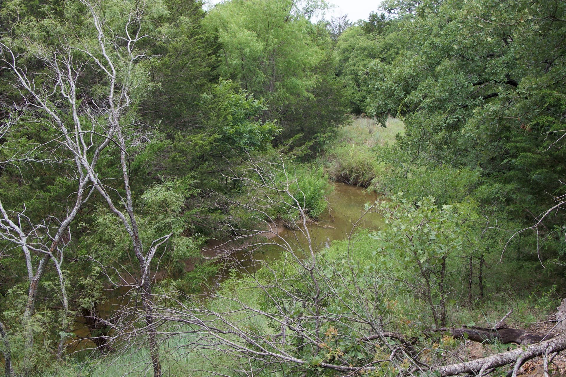 18.07 acres in Wise County - photo 30