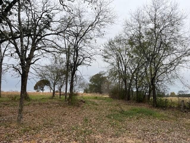 6.65 acres in Van Zandt County gallery image 4
