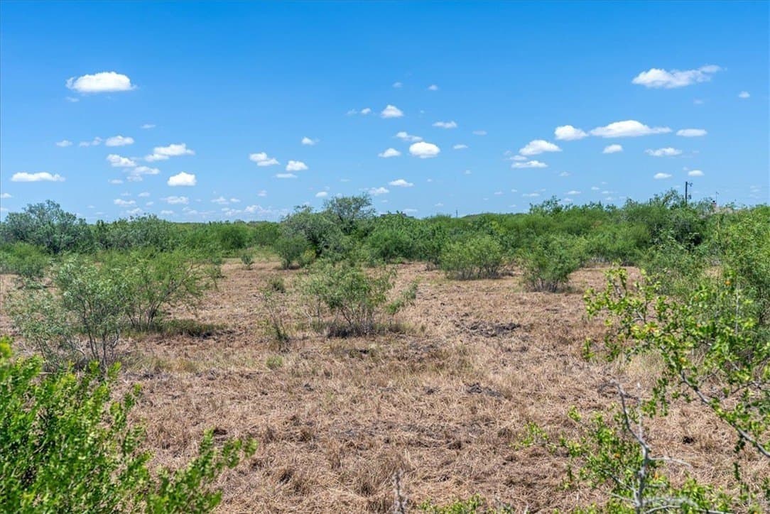 5.39 acres in Jim Wells County gallery image 4