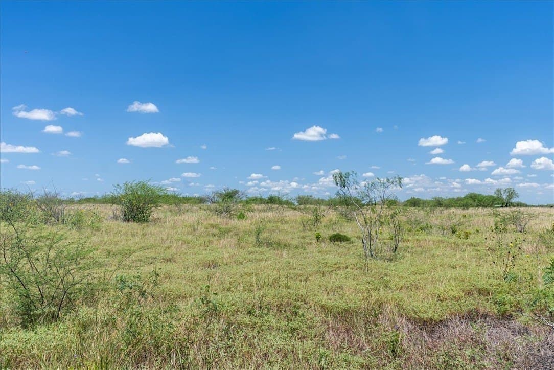 5.39 acres in Jim Wells County gallery image 3