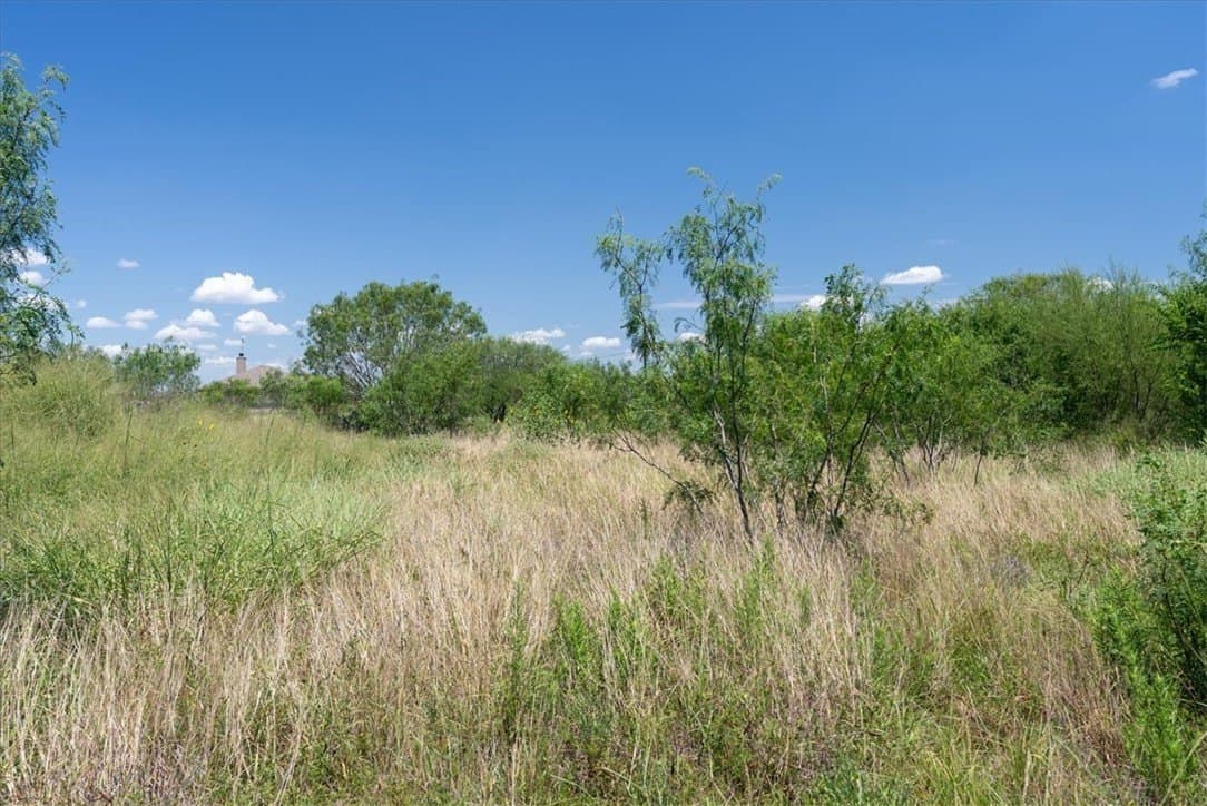 5.39 acres in Jim Wells County gallery image 2