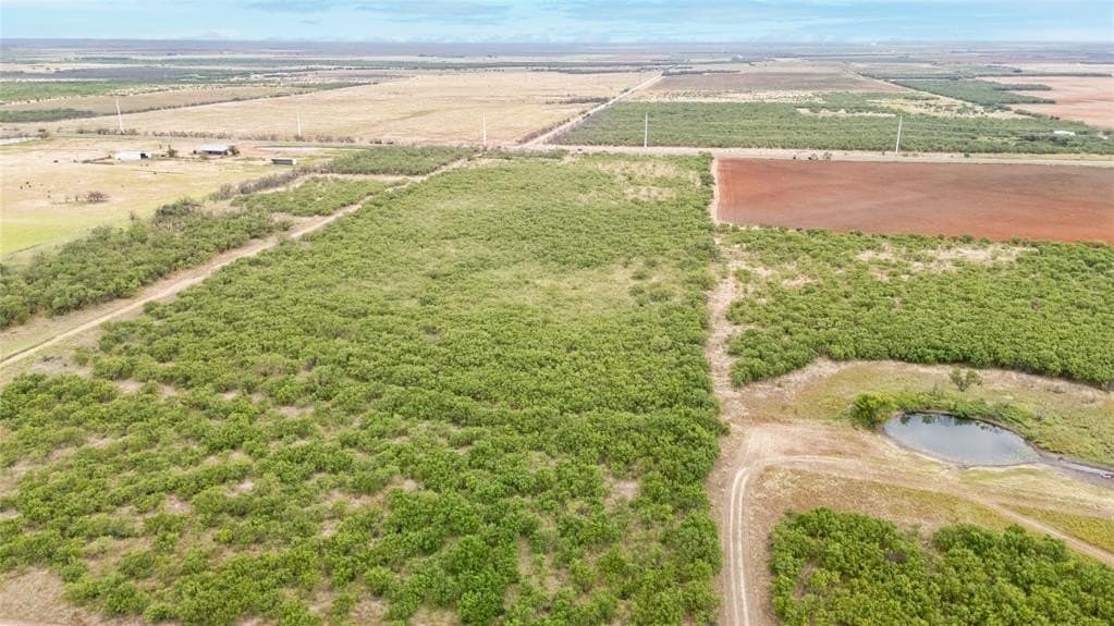 27.38 acres in Jones County gallery image 4