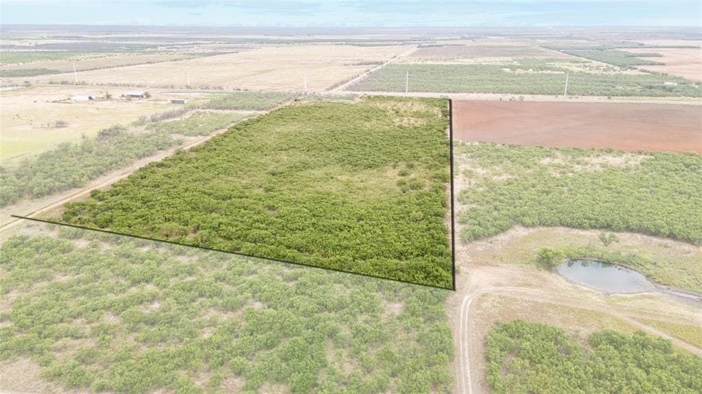 27.38 acres in Jones County gallery image 3