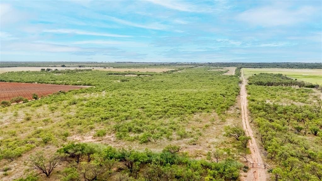 27.38 acres in Jones County featured view