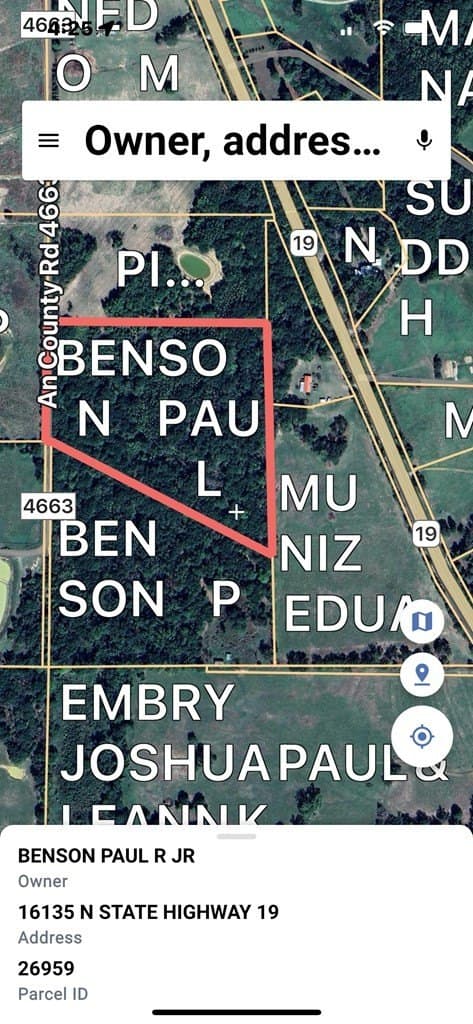 31.01 acres in Anderson County gallery image 4
