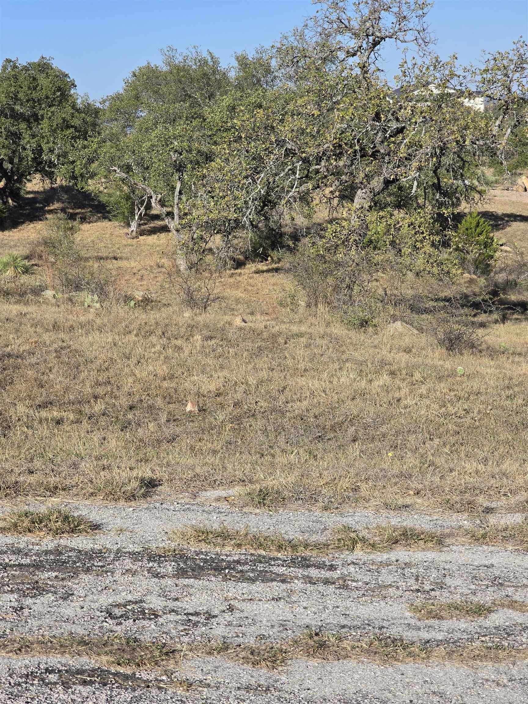 0.27 acres in Llano County gallery image 2