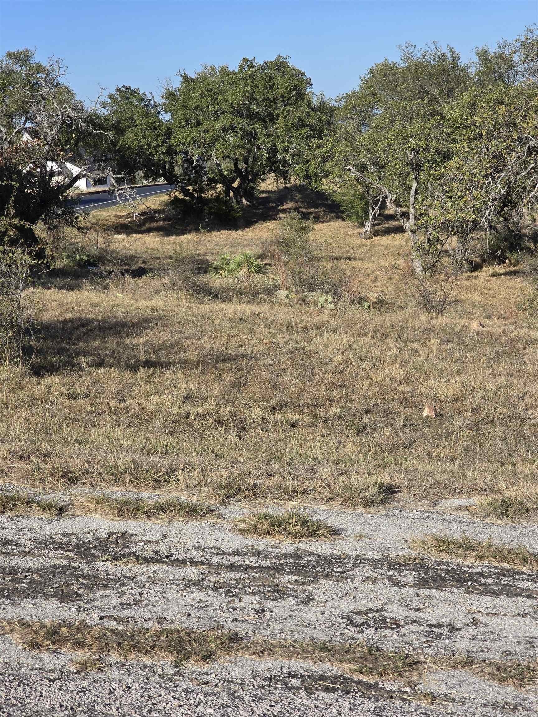 0.27 acres in Llano County gallery image 3