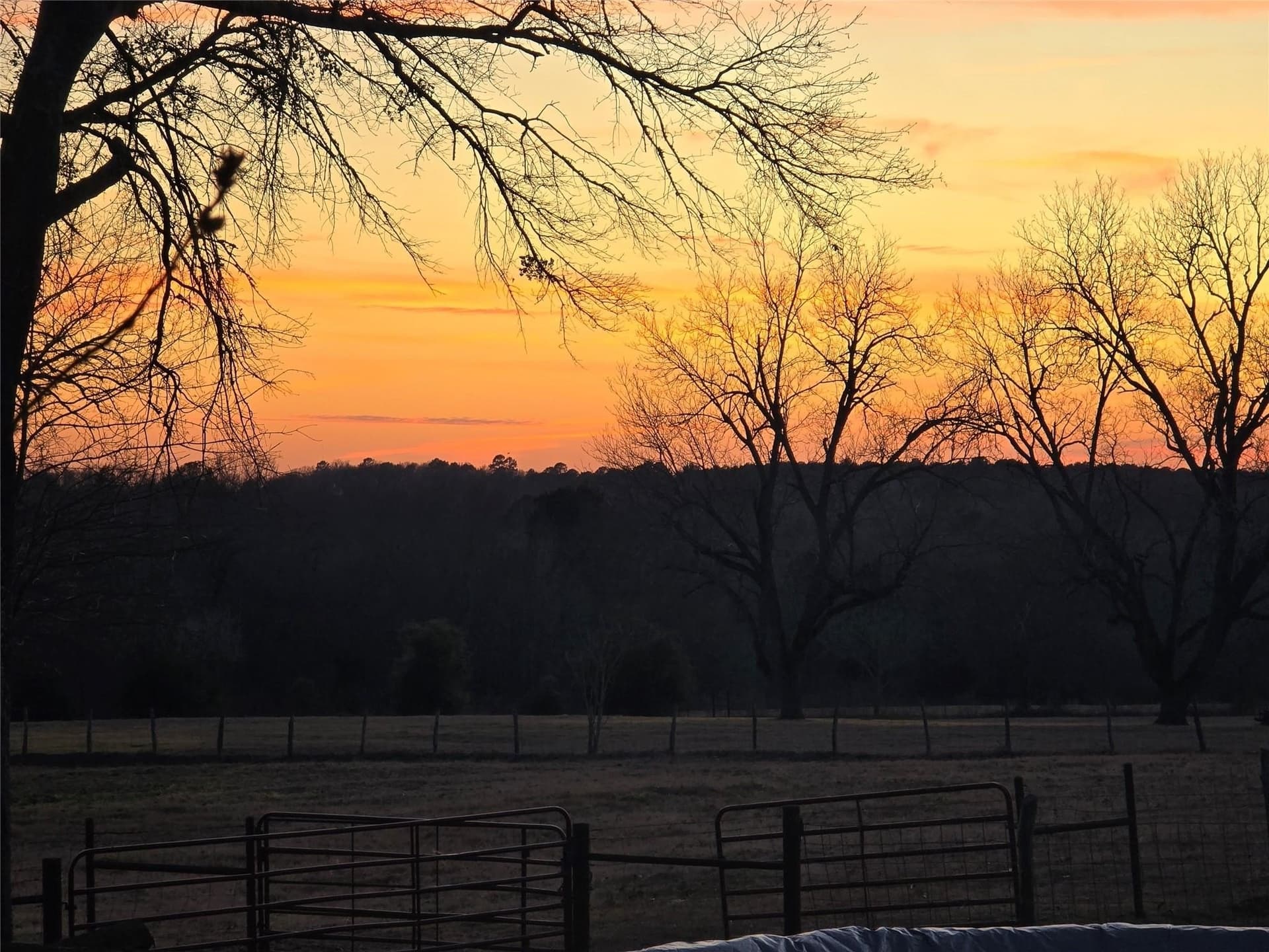30 acres in Smith County - photo 13