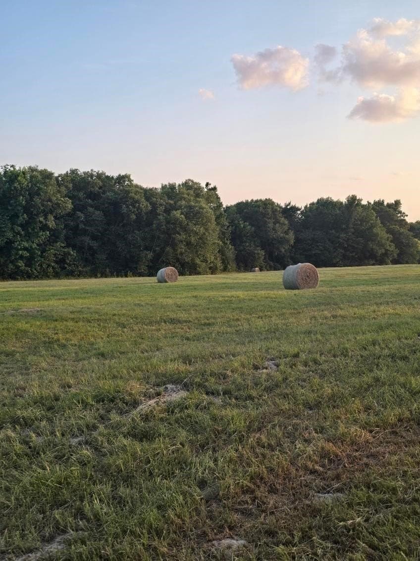 30 acres in Smith County - photo 6
