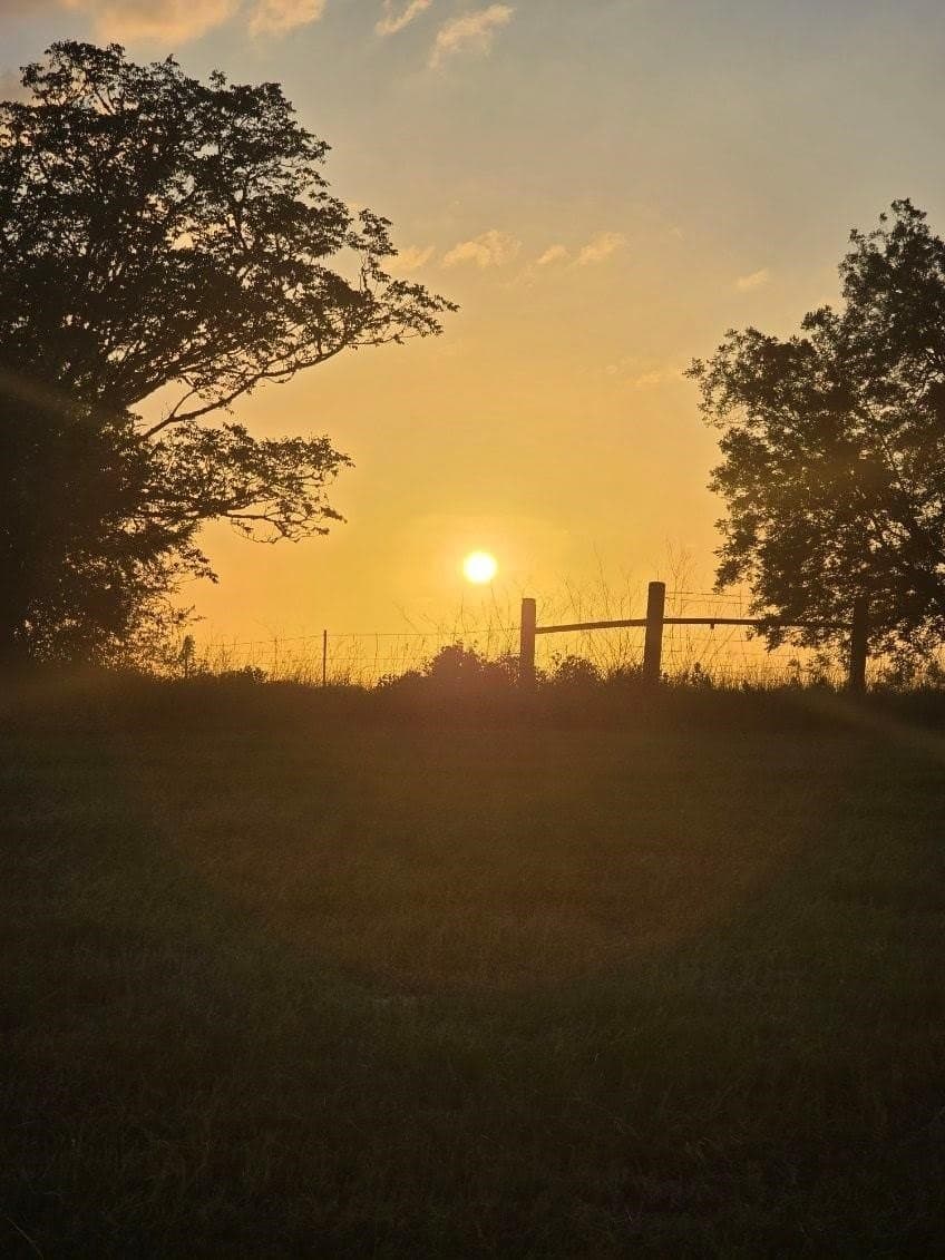 30 acres in Smith County - photo 9