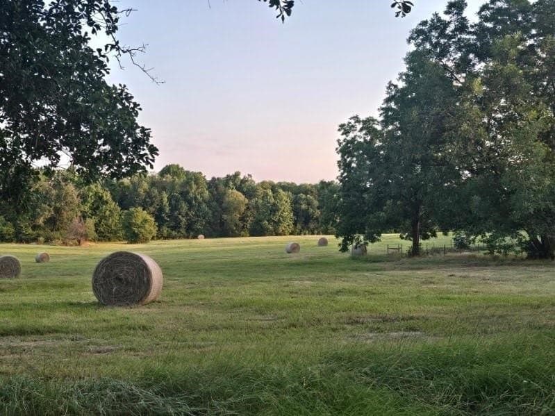 30 acres in Smith County