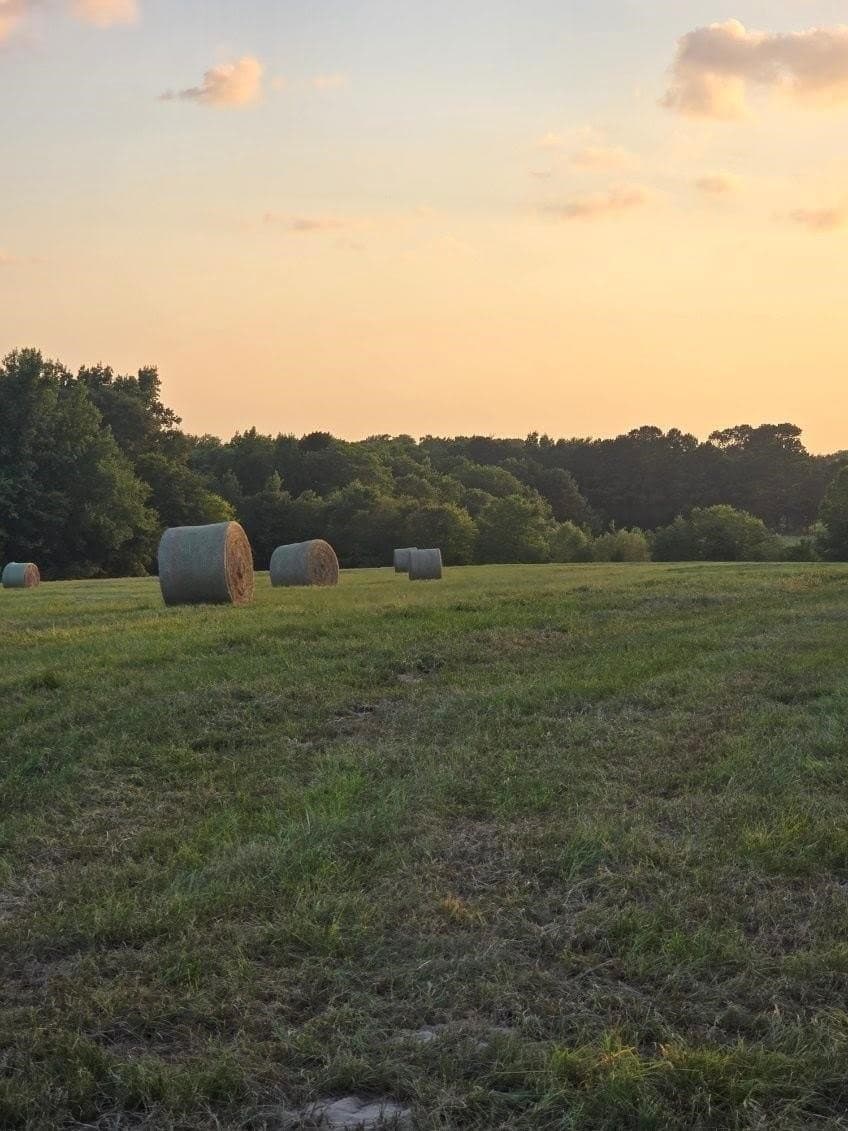 30 acres in Smith County - photo 7