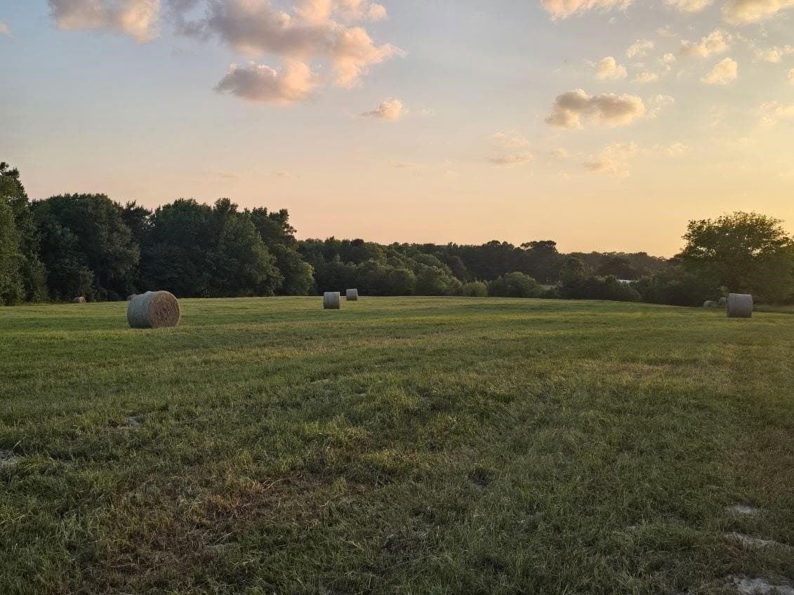 30 acres in Smith County - photo 2