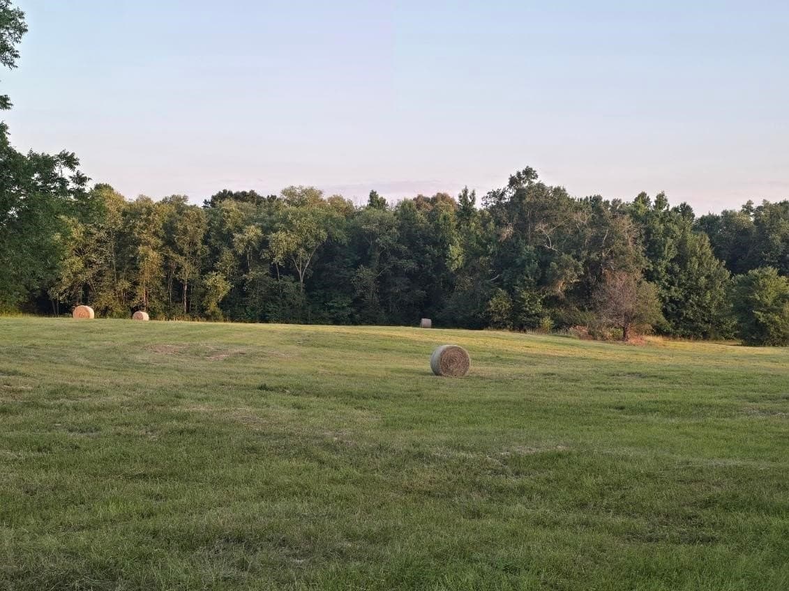 30 acres in Smith County - photo 8
