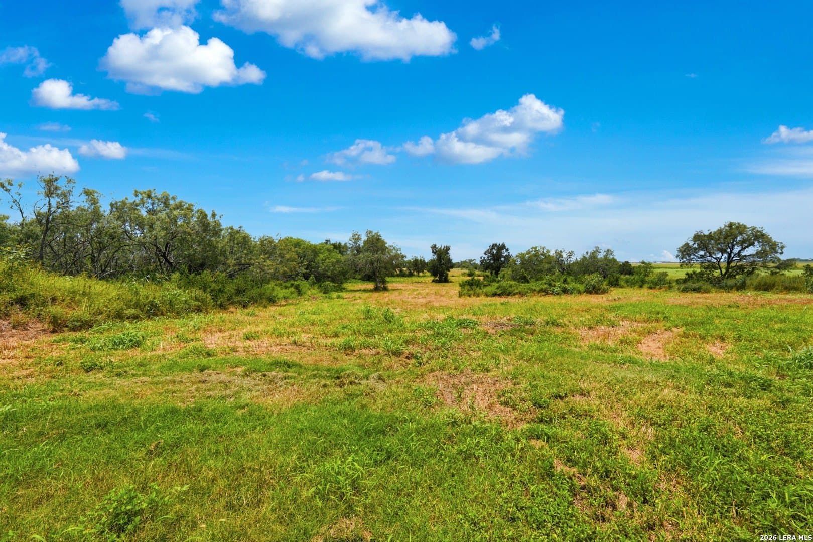 11.17 acres in Guadalupe County - photo 42