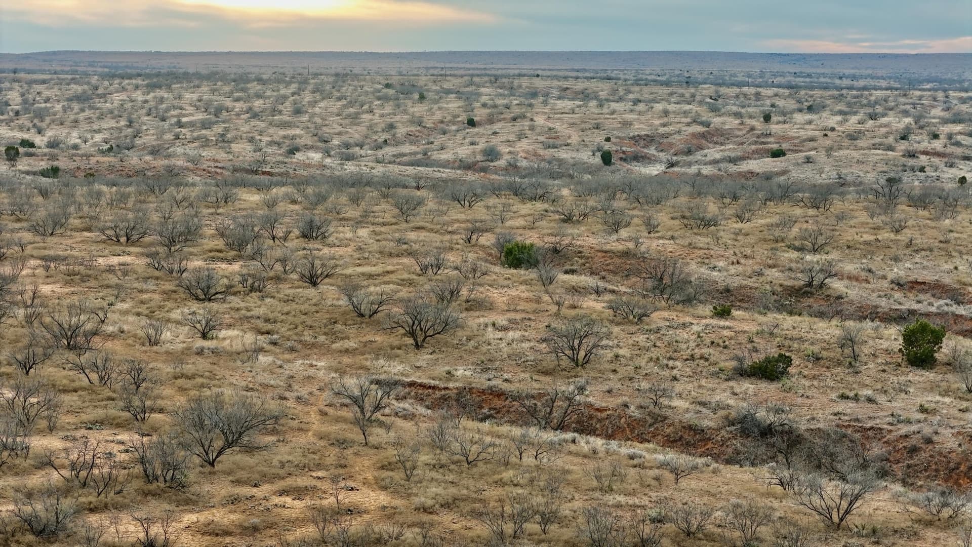 320 acres in Cottle County gallery image 3