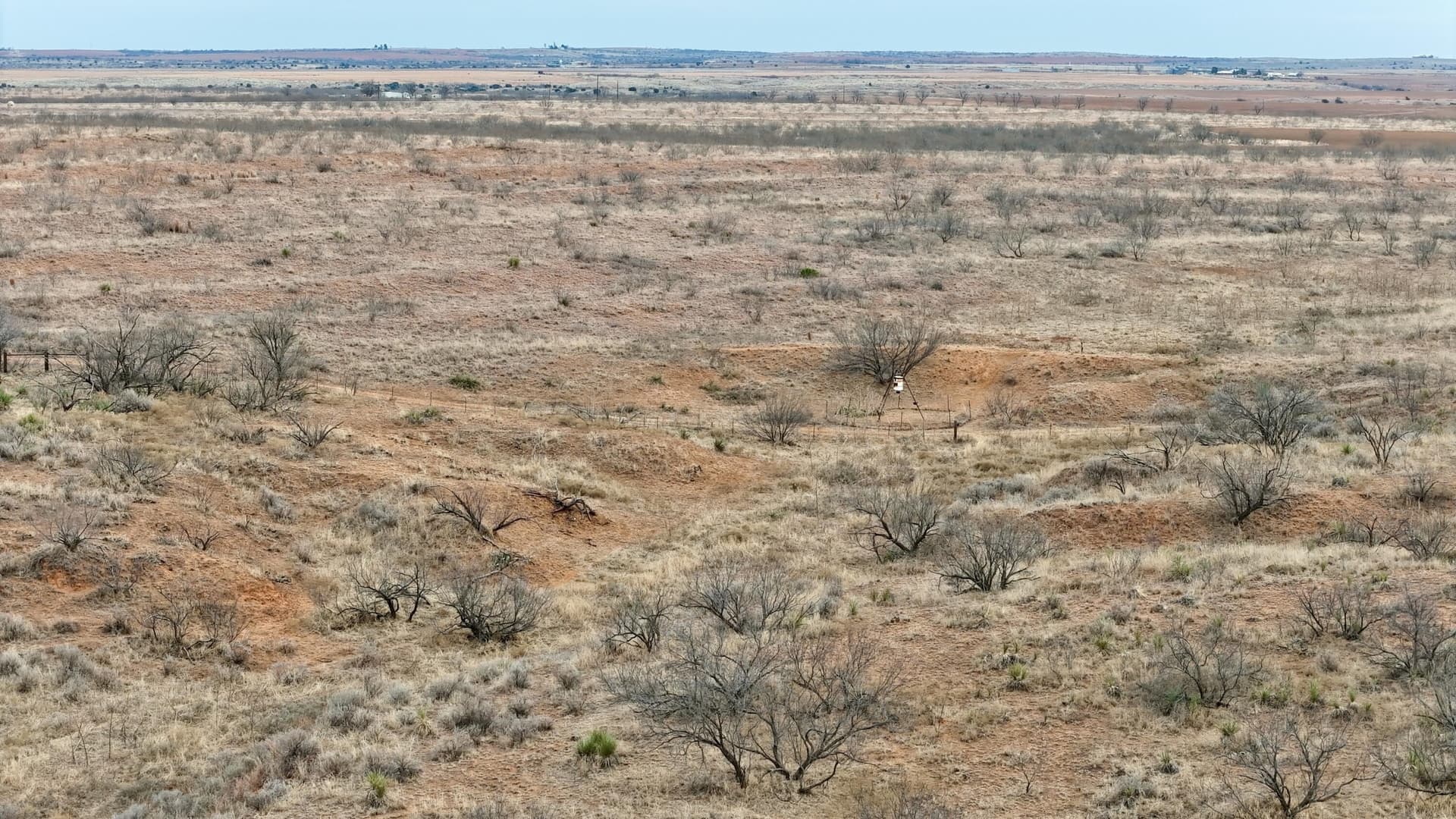 320 acres in Cottle County gallery image 4